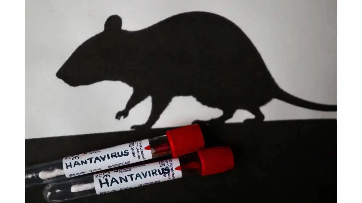 Hantavirus : situation en Côte d’Ivoire