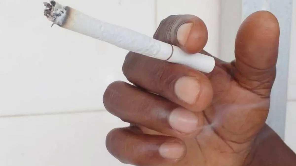 Tabac en Côte d’Ivoire : le marquage fiscal imposé aux fabricants et importateurs