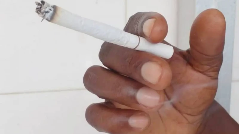 Tabac en Côte d'Ivoire le marquage fiscal imposé aux fabricants et importateurs