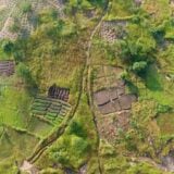 450 millions de dollars d’Ecobank pour la biodiversité africaine