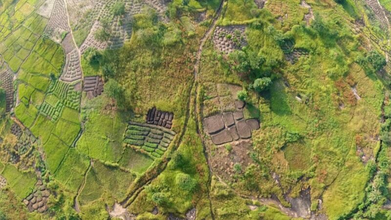 450 millions de dollars d’Ecobank pour la biodiversité africaine