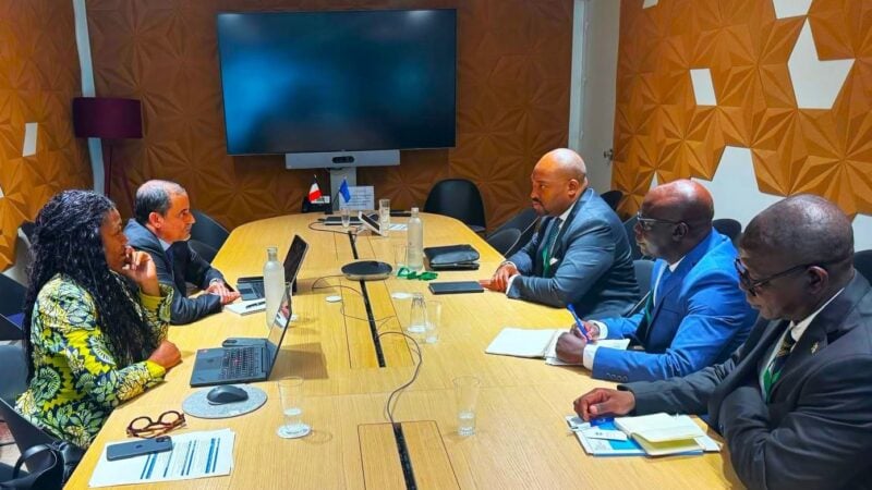 Centrafrique : le FMI s'inquiète du ralentissement de la croissance économique - Afrique sur 7