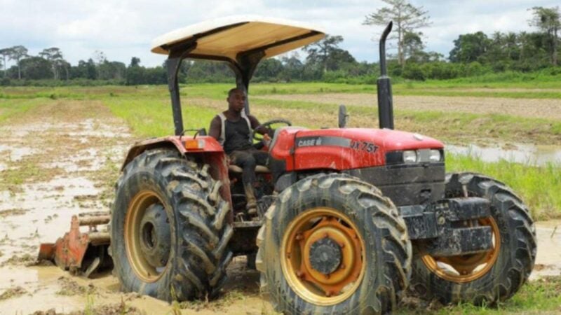 Togo : un invеstissement dе 40 milliаrds FCFA pоur prоmоuvоir la méсanisatiоn agricоle