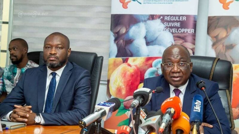 Côte d'Ivoire : le Conseil Coton-Anacarde lance la nouvelle campagne du karité