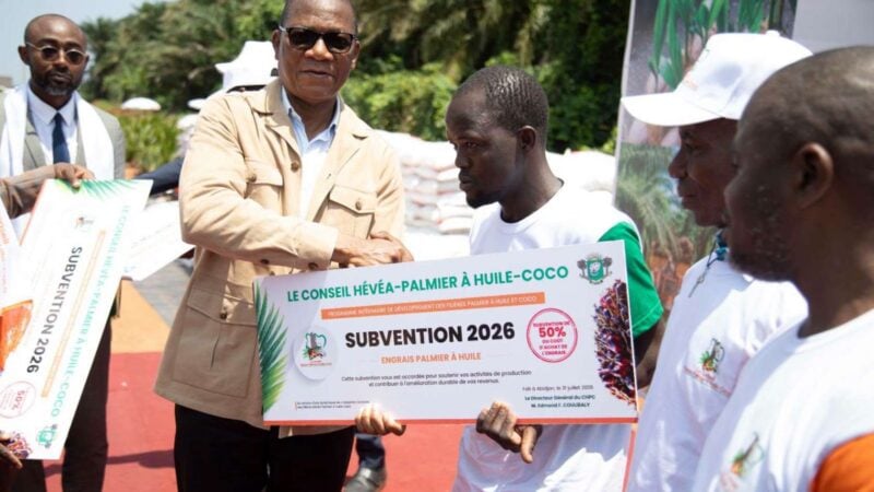 Côte d'Ivoire : le plan stratégique pour relancer le palmier et le coco