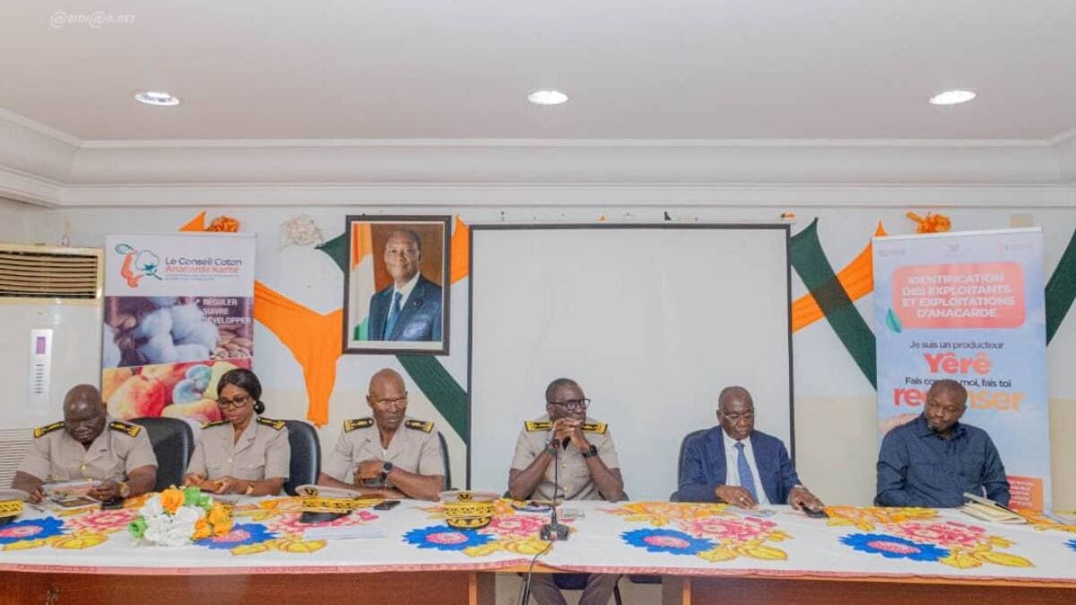 Côte d'Ivoire : le plan d'Abidjan pour cartographier la filière anacarde
