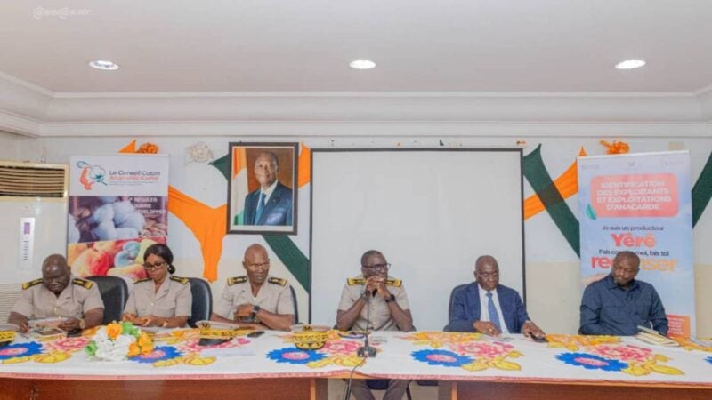 Côte d'Ivoire : le plan d'Abidjan pour cartographier la filière anacarde