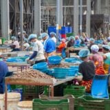 Côte d'Ivoire : l'usine de Boundiali accélère la transformation locale de l'anacarde
