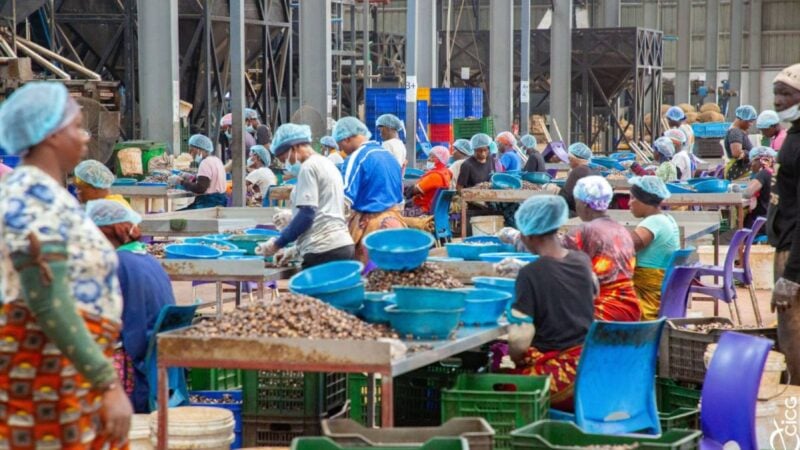 Côte d'Ivoire : l'usine de Boundiali accélère la transformation locale de l'anacarde
