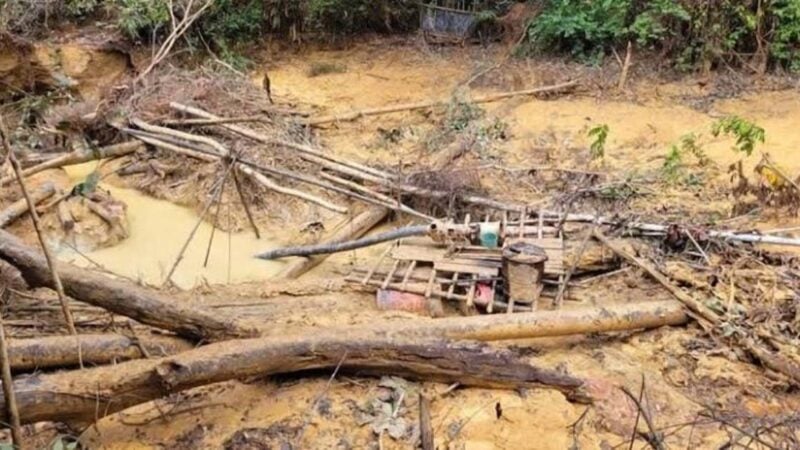 Orpaillage illégal : la Côte d'Ivoire, un cas non isolé en Afrique