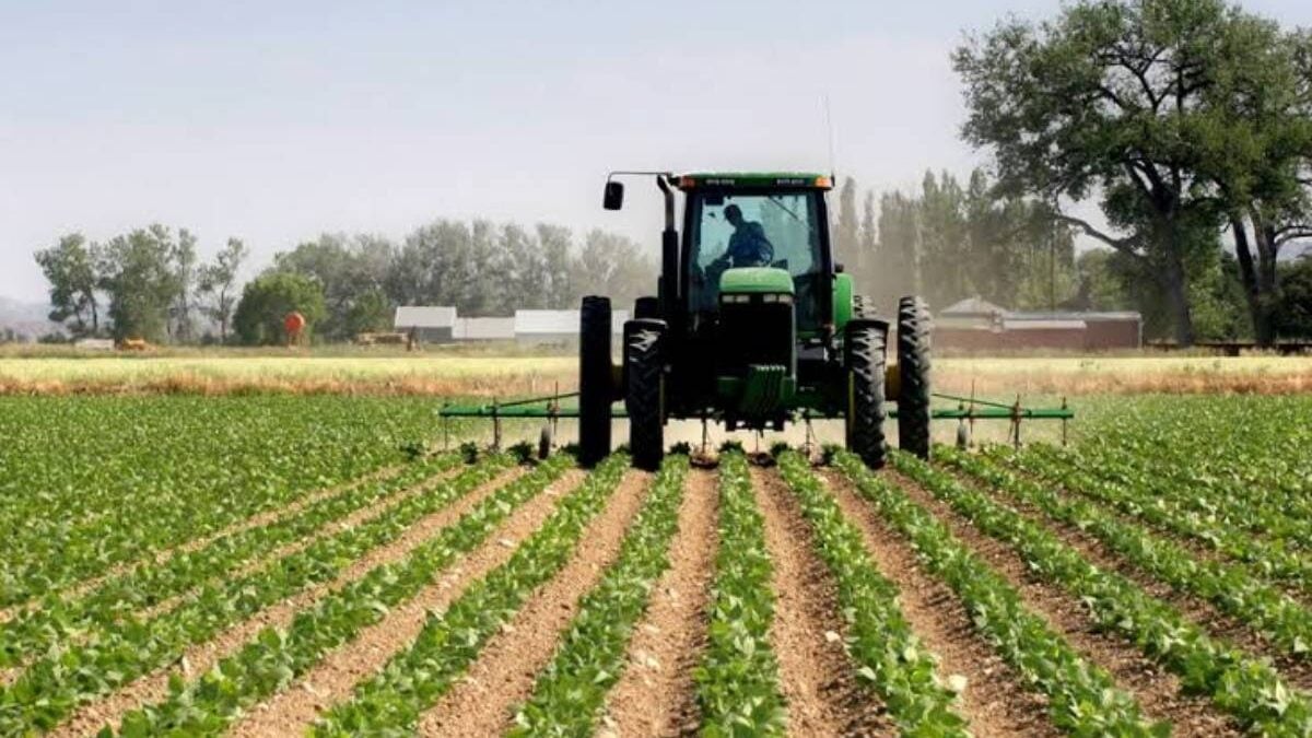 Agriculture : le Bénin cible ses filières prioritaires