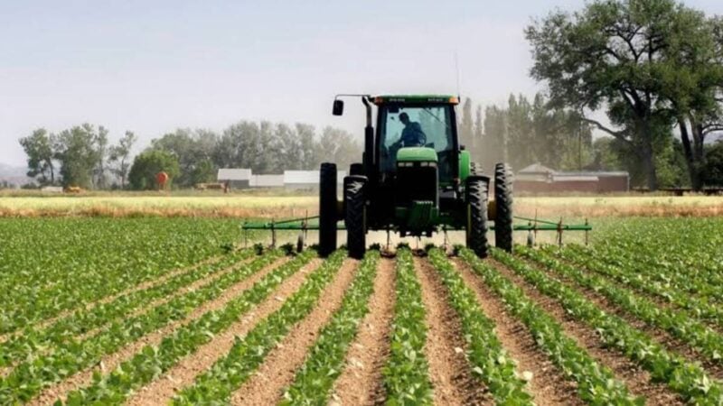 Agriculture : le Bénin cible ses filières prioritaires