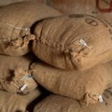 Côte d'Ivoire : 26 000 tonnes de cacao déjà vendues selon le SNT