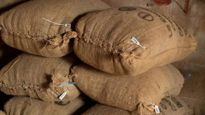Côte d'Ivoire : 26 000 tonnes de cacao déjà vendues selon le SNT