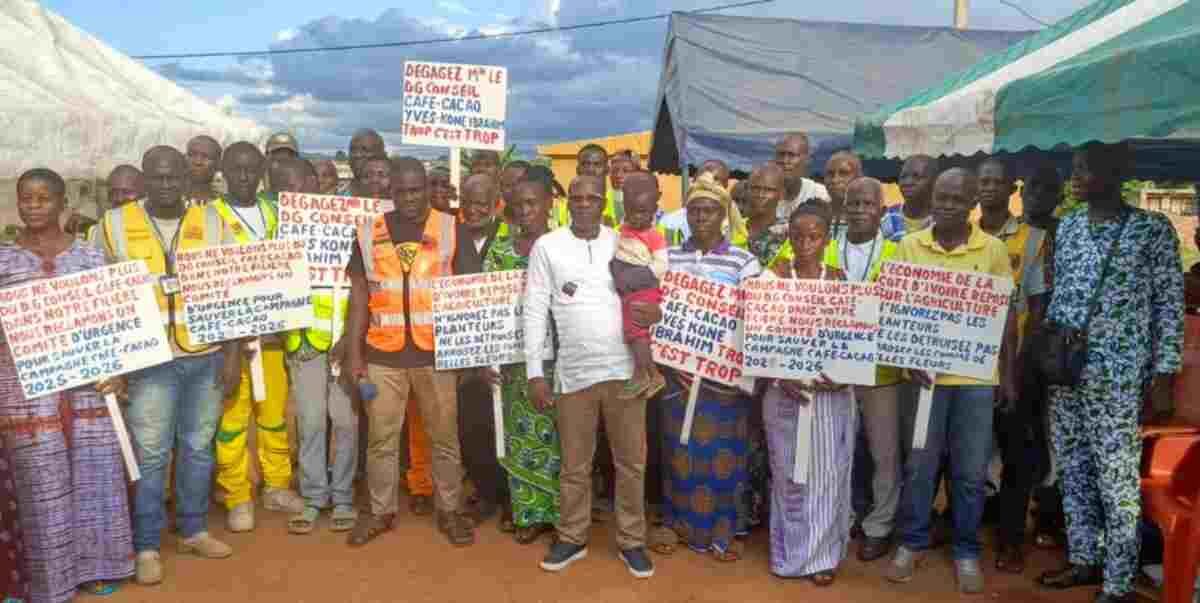 Côte d'Ivoire - Café-cacao : le SYNAP-CI durcit la grève des producteurs