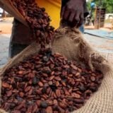 Côte d'Ivoire : menace de grève sur le prix de cacao, l'OIA s'oppose