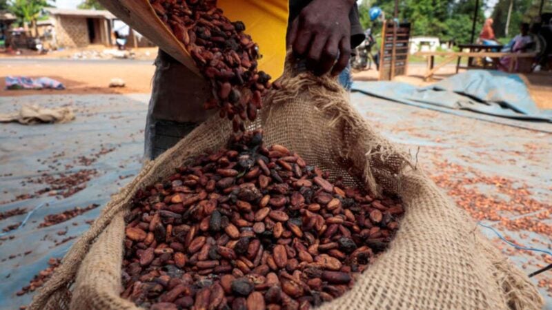 Côte d'Ivoire : menace de grève sur le prix de cacao, l'OIA s'oppose