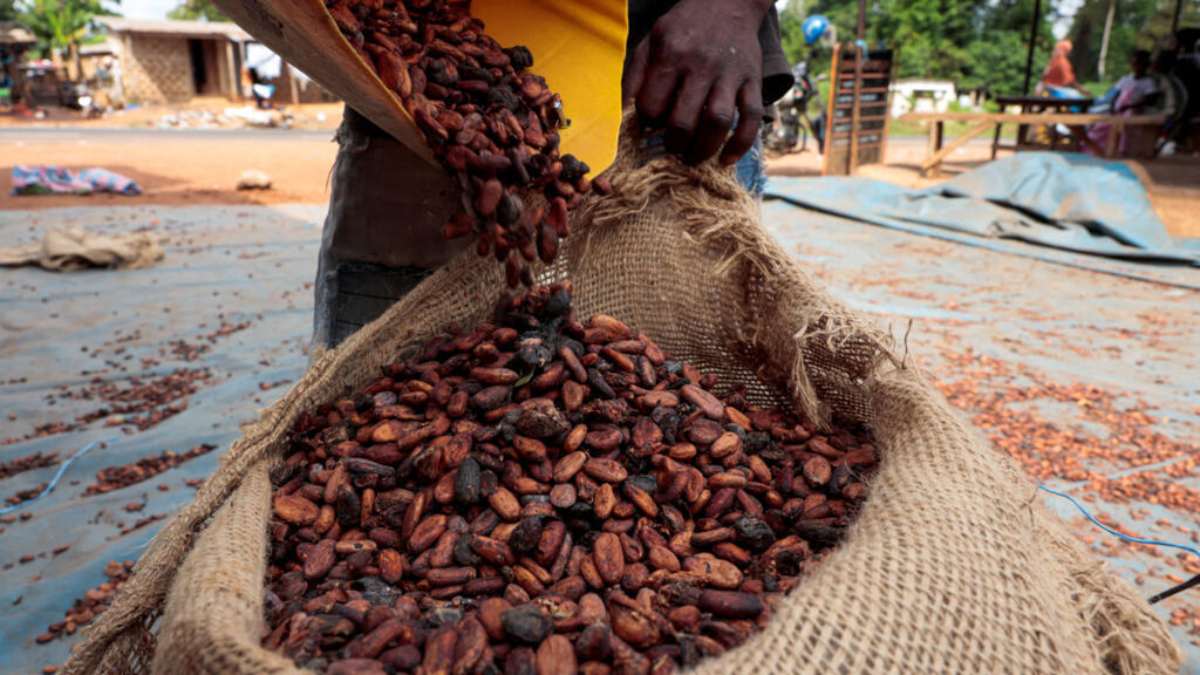 Côte d'Ivoire : menace de grève sur le prix de cacao, l'OIA s'oppose
