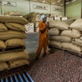 Côte d’Ivoire : la FMO octroie 20 millions d'euros pour le cacao