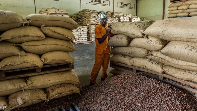 Côte d’Ivoire : la FMO octroie 20 millions d'euros pour le cacao