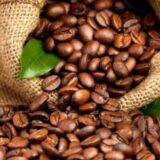 Côte d’Ivoire : le gouvernement fixe la nouvelle grille tarifaire du café