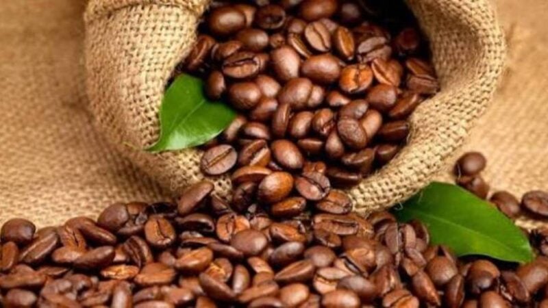 Côte d’Ivoire : le gouvernement fixe la nouvelle grille tarifaire du café
