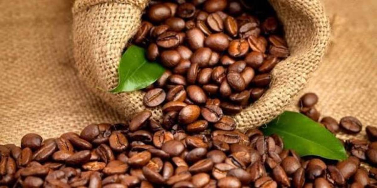 Côte d’Ivoire : le gouvernement fixe la nouvelle grille tarifaire du café