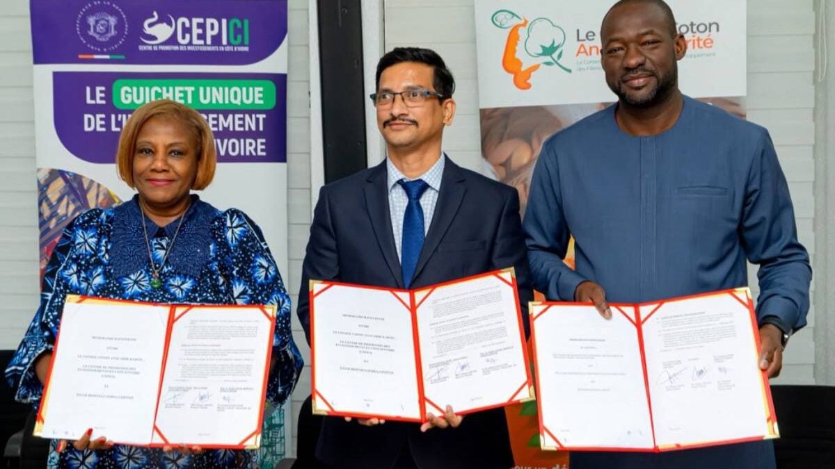 Côte d’Ivoire : les coques de cajou attirent les investisseurs