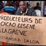 Côte d'Ivoire : les planteurs de Daloa rejettent la grève du cacao