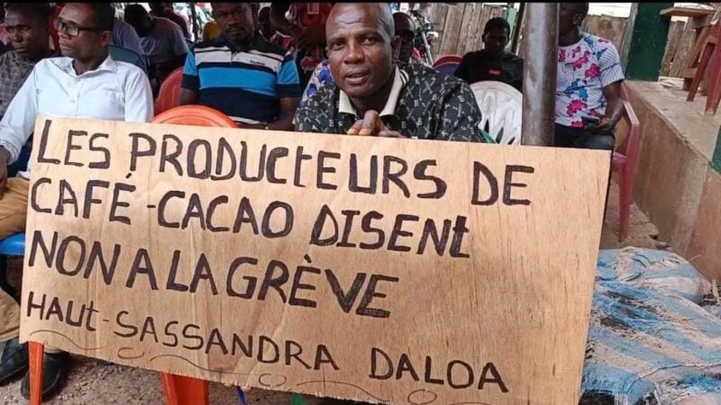 Côte d'Ivoire : les planteurs de Daloa rejettent la grève du cacao
