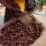 Ghana : le prix du cacao en hausse