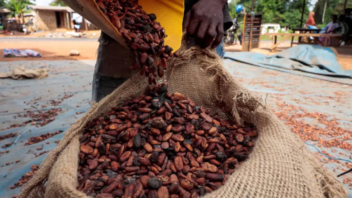 Ghana : le prix du cacao en hausse