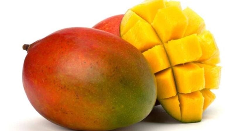 Sénégal : Sadio Mané lance un projet pour la transformation de la mangue