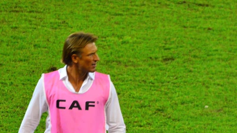 Hervé Renard, sélectionneur de la Côte d'Ivoire, au bord du terrain