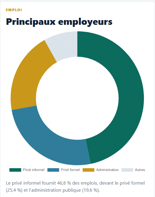 Gabon : le taux de chômage s'établit à 17,4 % (ENEC 2024) - Afrique sur 7