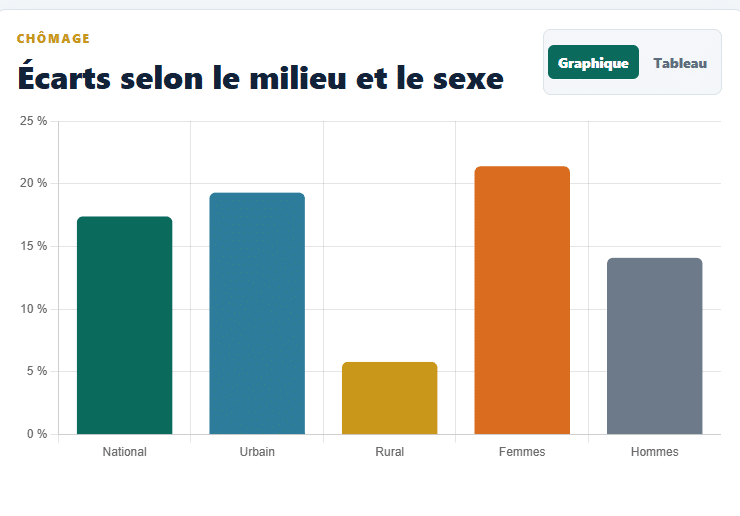 Gabon : le taux de chômage s'établit à 17,4 % (ENEC 2024) - Afrique sur 7